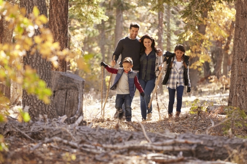 Family Walking 